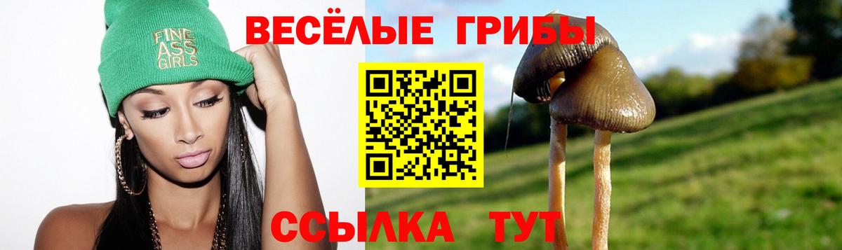 Сыктывкар  даркнет сайт  Вход с VPN  Галлюциногенные грибы мухоморы 